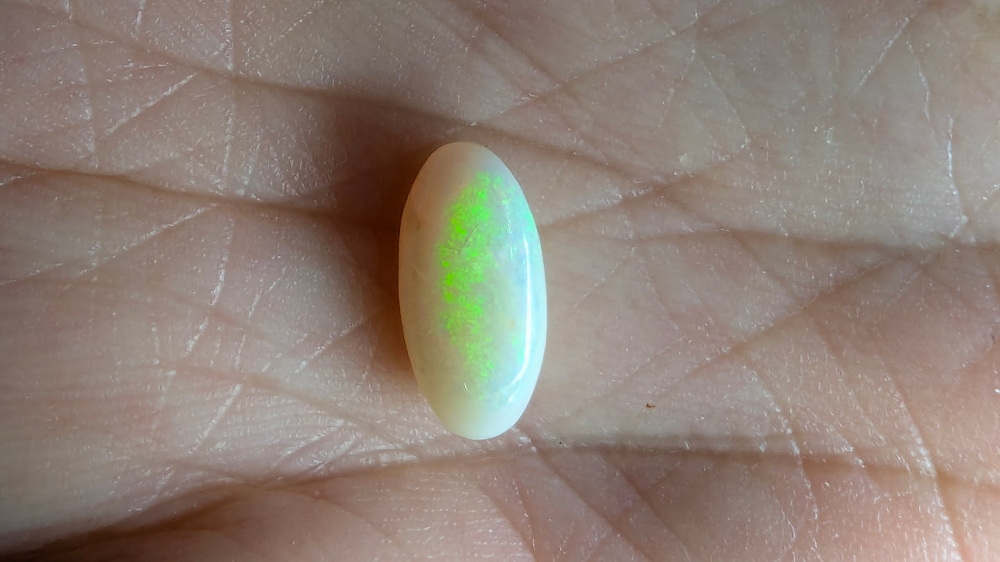 Opal- white oval