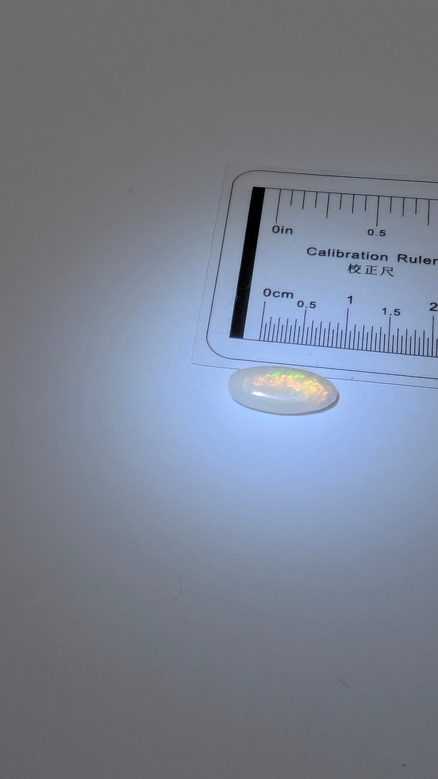 Opal- white oval
