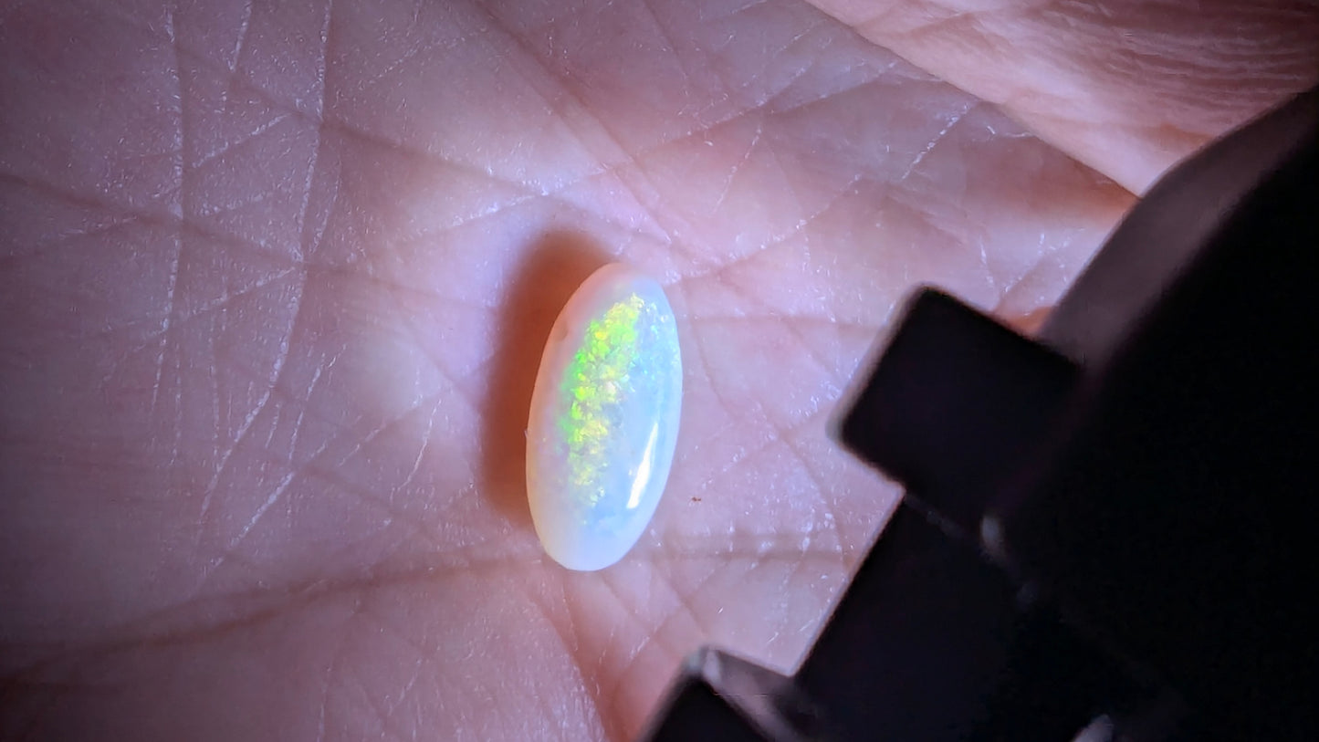 Opal- white oval